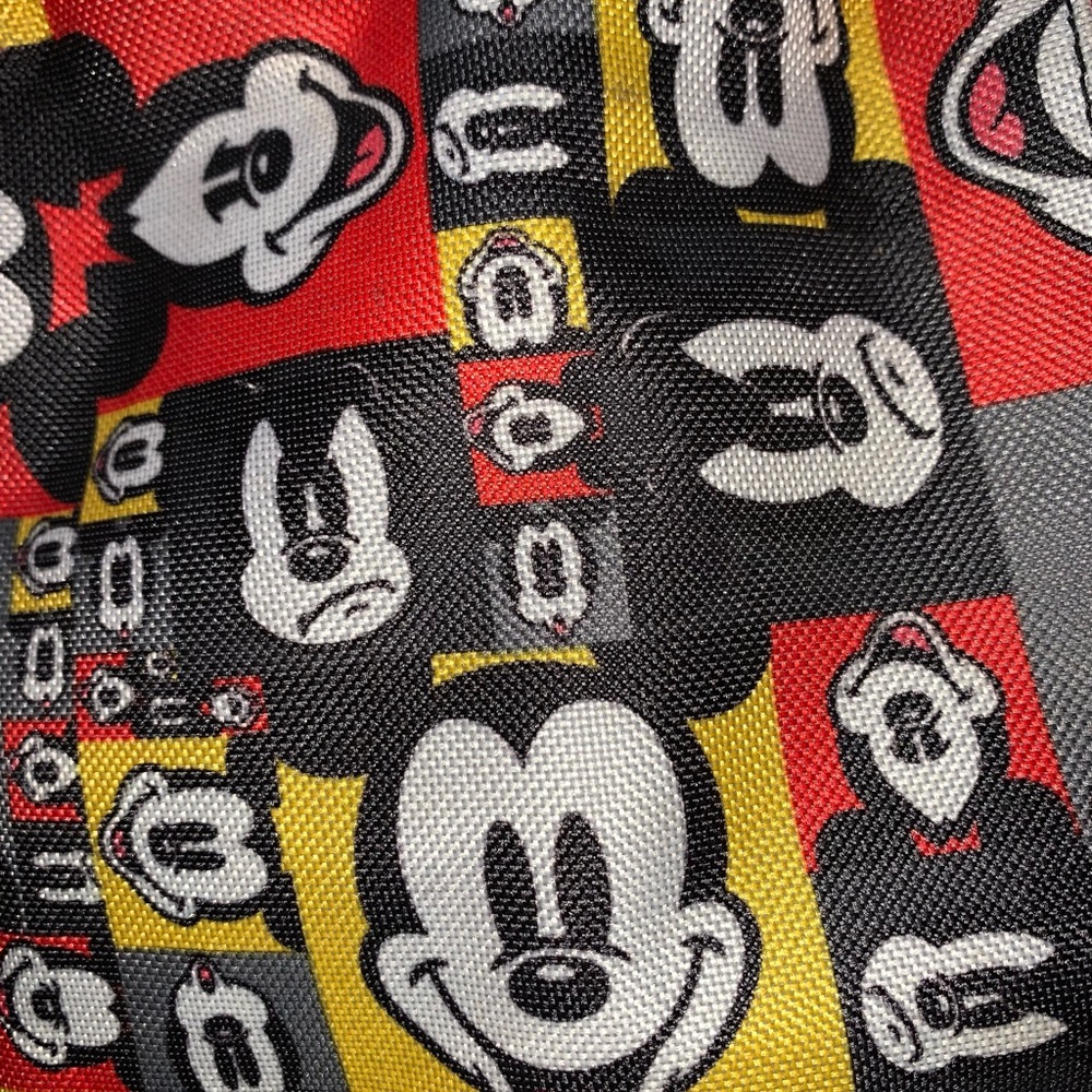 Walt Disney Workd Backpack - Picture 4 of 5